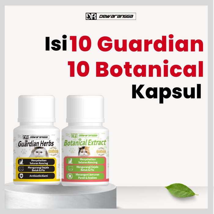Paket Masalah Saluran Kencing - Dewarangga