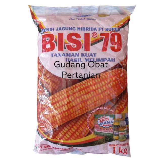 Benih Jagung Hibrida F1 Super BISI 79
