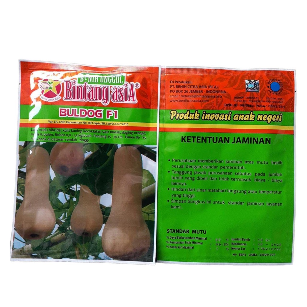 Benih Bibit Labu Madu Butternut Squash Buldog F1 Kemasan 10 Gram Original Pack