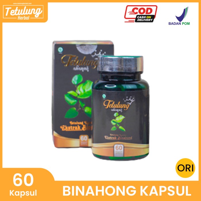 

Obat Alergi Dingin, Obat Biduran, Obat Kaligata - Kapsul Binahong @60 BPOM
