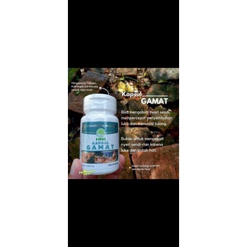 Gamat Teripang Emas Hni