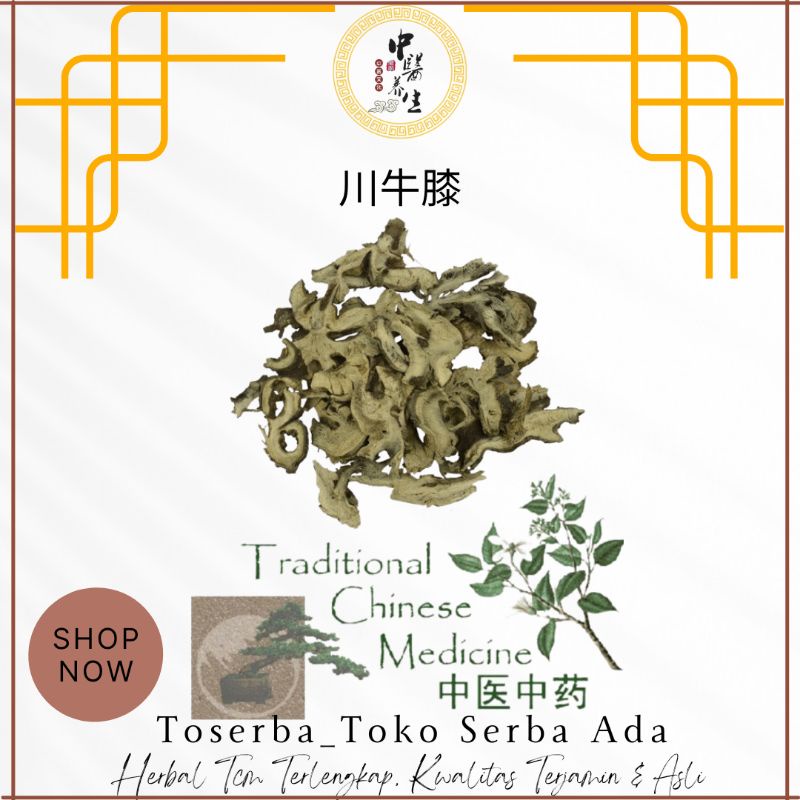 

100gr Herbal Chuan Niu Xi Pian / Medicinal Cyathula Root / Cyathulae Radix / Cyathula Officinalis Grade