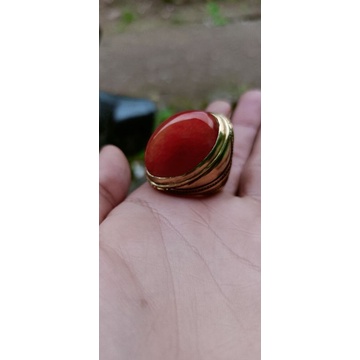 pandan merah sisik betik babon top kristal