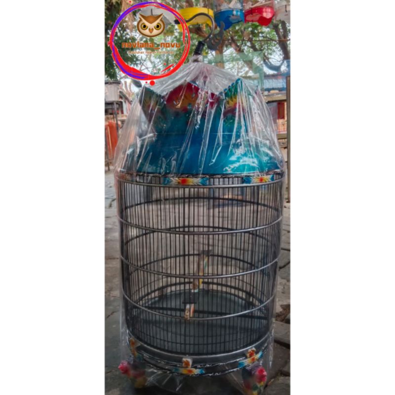 SANGKAR KUTUT KURUNGAN PERKUTUT PLAMIR SEMI MAHKOTA PANJANG MEWAH POLOS WARNA