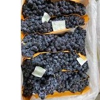 

Anggur Autum 500gram