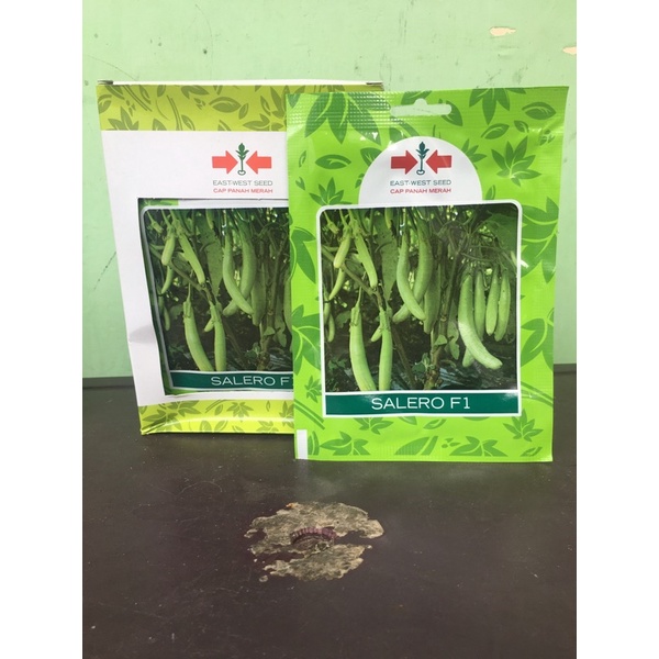Benih Terong Hijau Salero F1 isi 400 butir