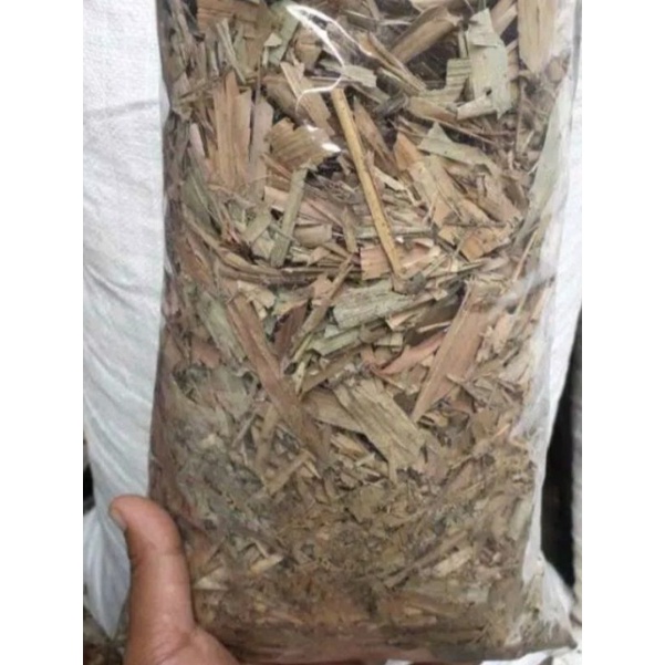 media tanaman daun bambu kering, humus bambu