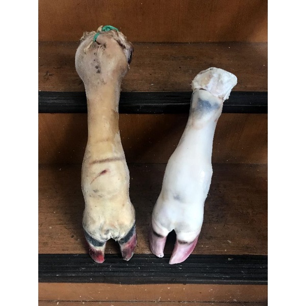 

fillet kaki sapi lokal fresh baru potong ukuran sedang