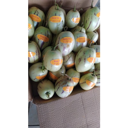 

Buah PEPINO