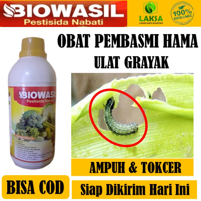 PROMO Obat Biowasil 500 ML Obat Atasi Hama Ulat Grayak - Obat Semprot BIOWASIL Pengendali Hama Ulat 