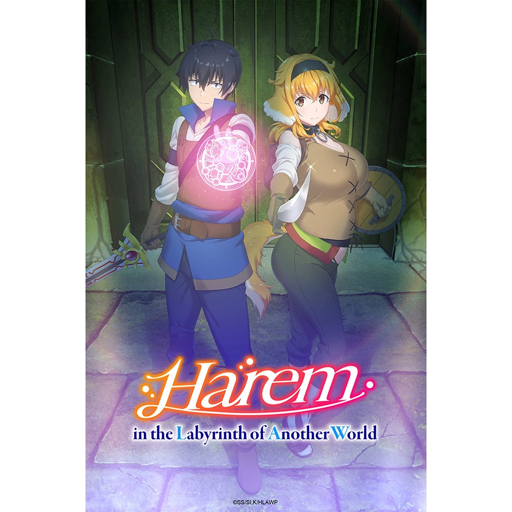 Dvd Anime Isekai Meikyuu de Harem wo