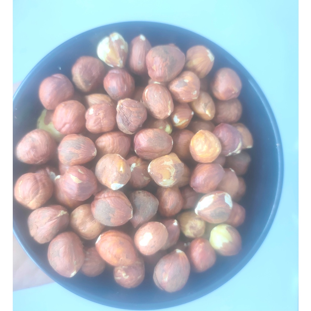 

100gr Hazelnut Raw / Kacang Hazelnut Mentah / Raw By KN