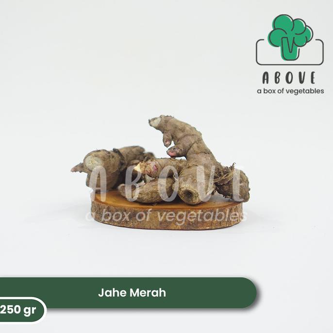 

Jahe Merah (250gr) - Bumbu ABOVE