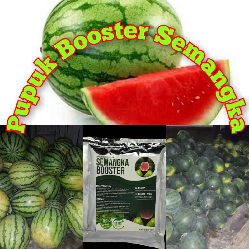 Pupuk booster buah SemangkaMurah Pupuk booster buah organik non kimia pupuk cair kilat npk urea mera