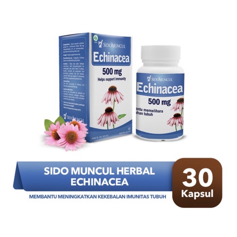 Sidomuncul Echinacea kemasan botol isi 30 kapsul (untuk menjaga daya tahan tubuh)