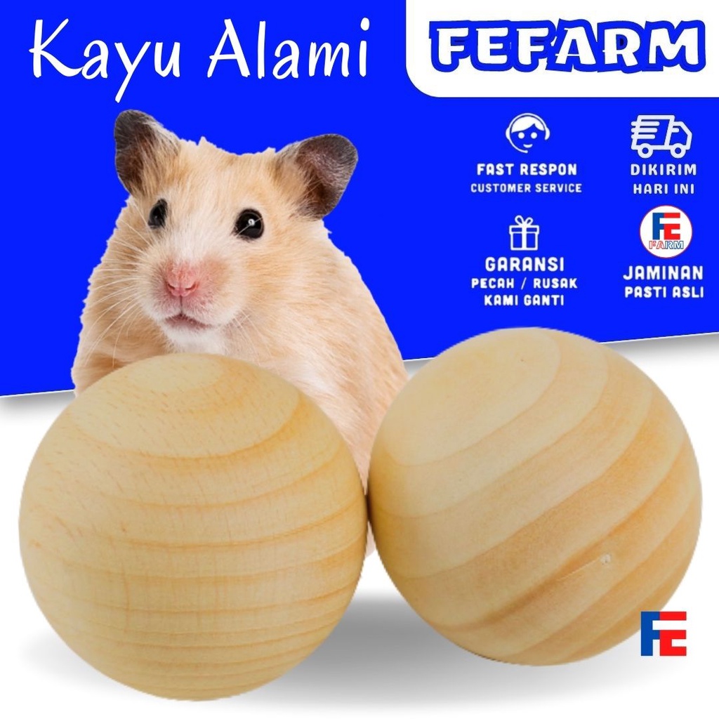 Mainan Hamster Aksesoris Hamster Gigitan Hamster Gnawing Ball Penghilang Bau Kandang Hamster FEFARM