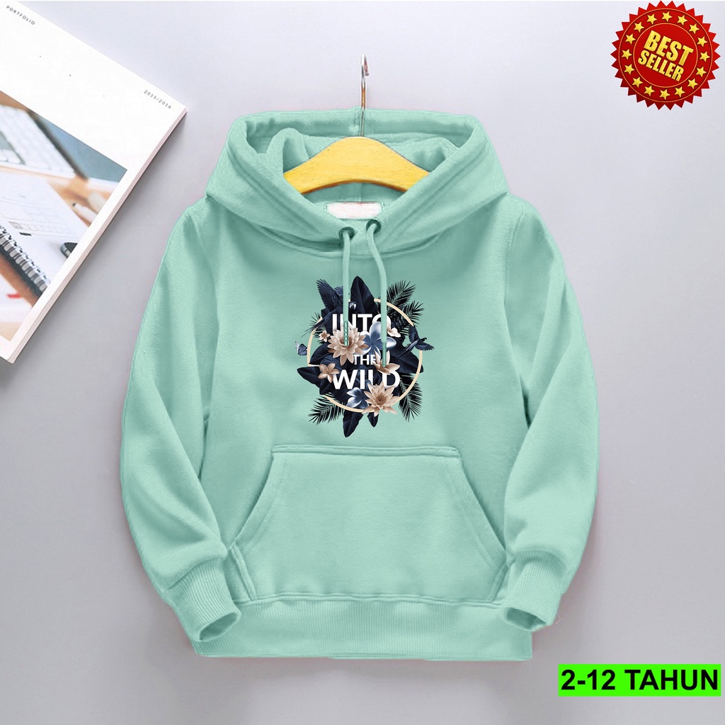 Hoodie Anak Laki Laki Perempuan / Hodie Anak Usia 2 3 4 5 6 7 8 9 10 11 12 Tahun / Jaket Anak Cewek Cowok Sweater Anak