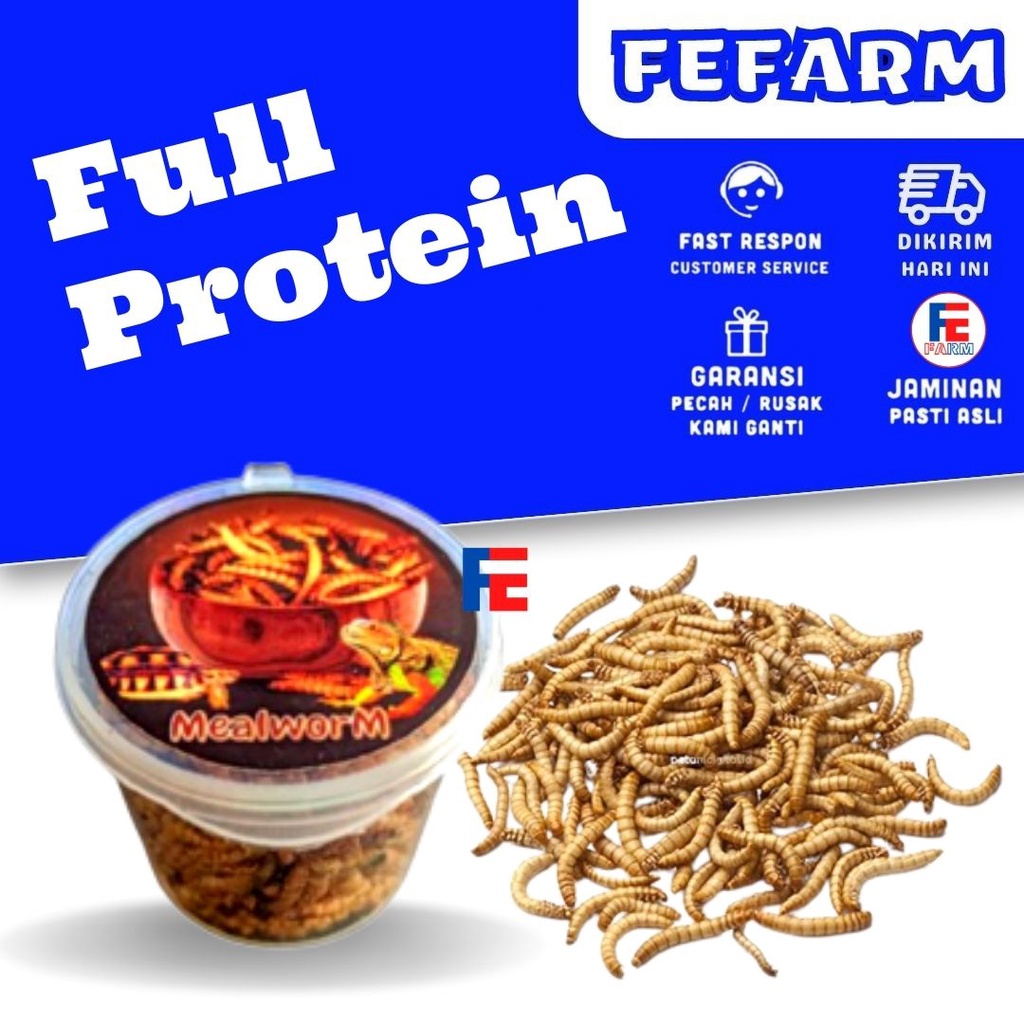 Seafood Reptil Protein Tinggi Kura Kura Tortoise Dll  FEFARM