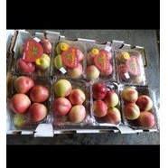 

Nectarine White USA super / pack
