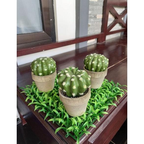 COD Kaktus pot semen Kaktus Hias Artificial pot semen plastik Kaktus Plastik Kaktus Imitasi GUNINCO 