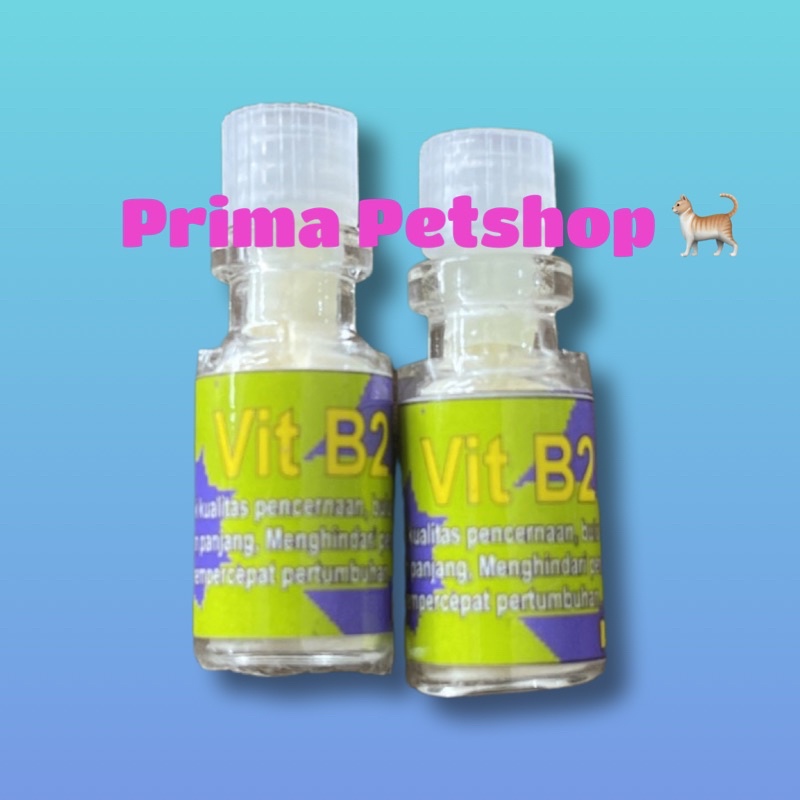 Vitamin B2 Kucing untuk pencernaan bulu ginjal