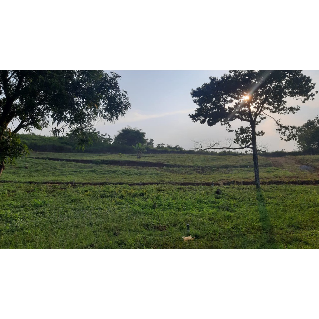 Tanah Kavling Cibubur Kawasan Industri