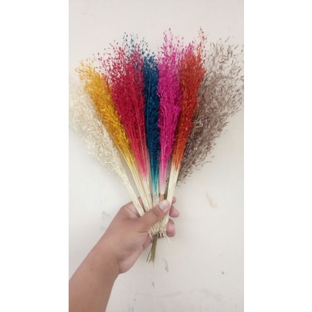Bunga kering sprinkel, bunga kering wildery, bunga kering sprinkel