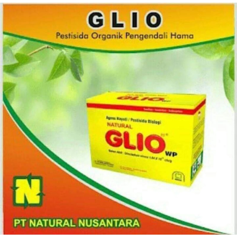 Glio NASA