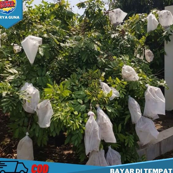Terlaris➧ pembungkus buah jambu air Fruit Cover Size XL 30 x 40 cm 43