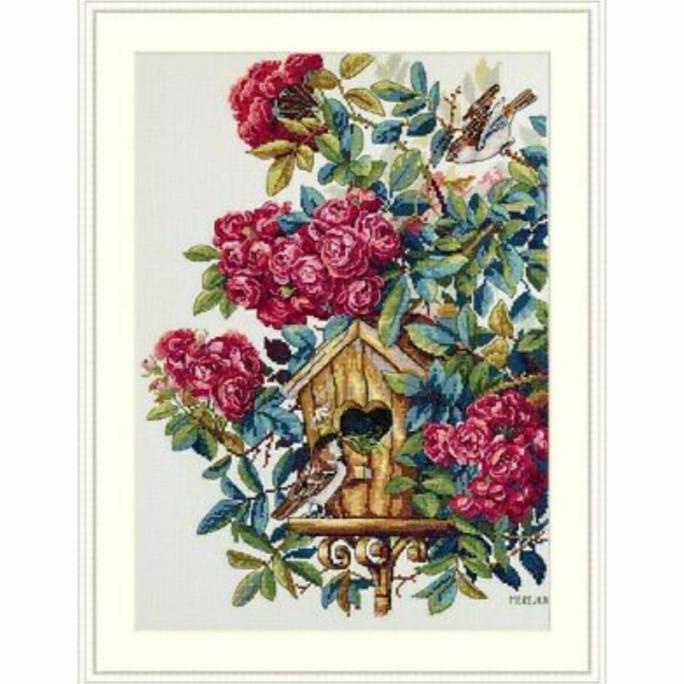 ] Merejka k-150 Rose bush