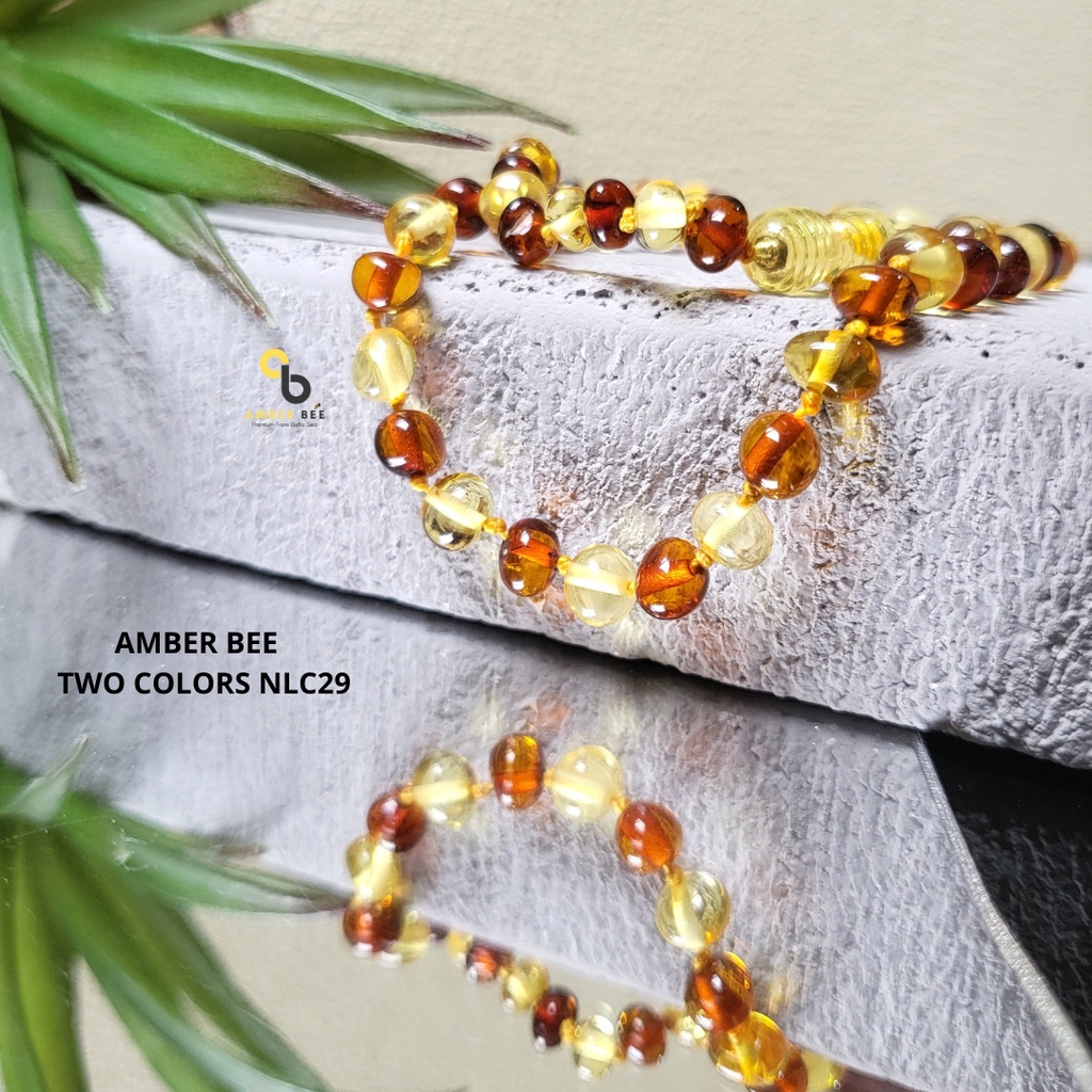 Kalung Anak Amber Premium Glossy Lime Cognac BGLC29 By Amber Bee