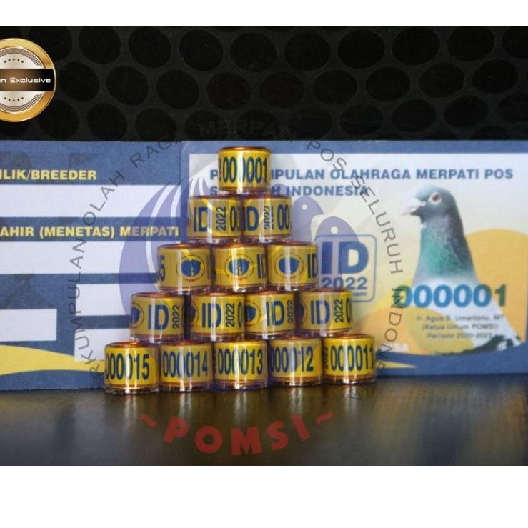 RealPict--Jual Ring ID 2022 POMSI