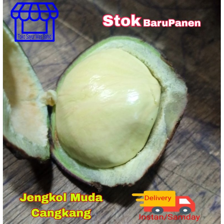 

Jengkol Muda Cangkang Utuh Fres