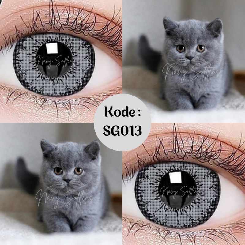 SG013 / SOFTLENS GREY / SOFTLENS ABU / SOFTLENS FREE AIR