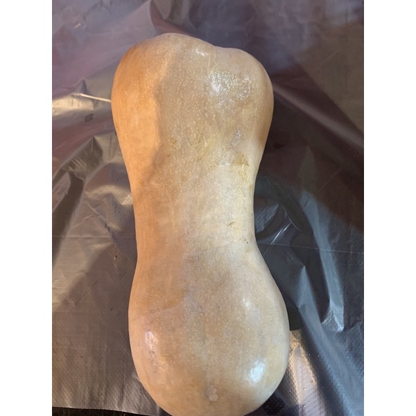 

butternut pumpkin/ labu madu Rp 23.000