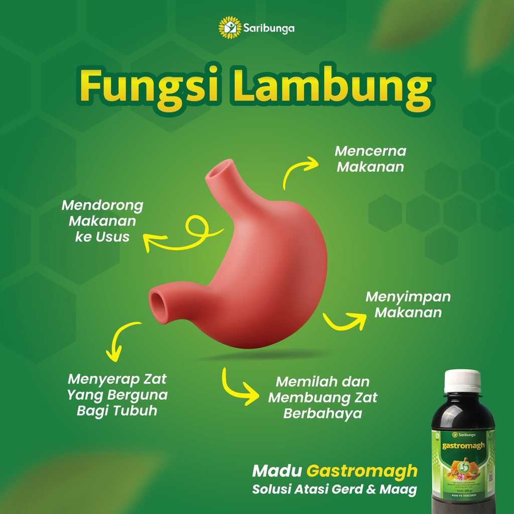 Madu Gastromagh Original - Gastromaag Ampuh Atasi Keluhan Maag Mual Perut kembung Beli 1 Gratis 1