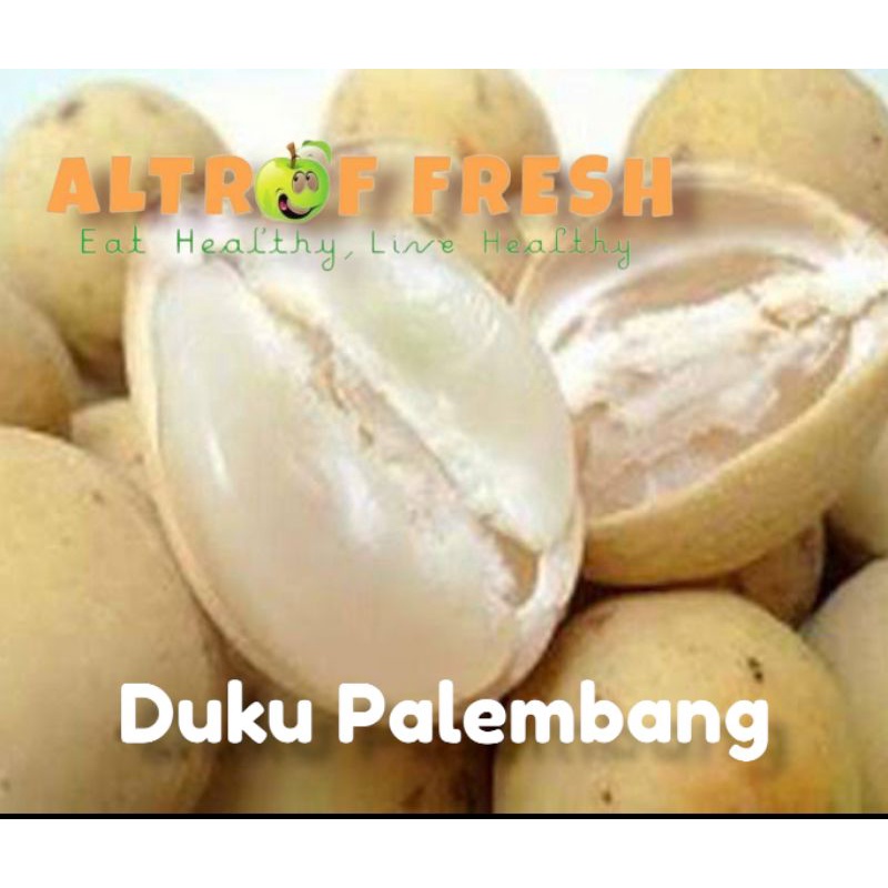 

Duku Palembang / 1Kg