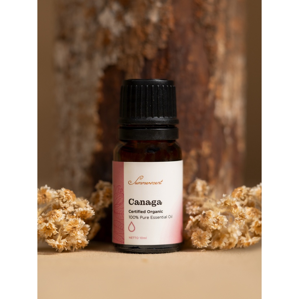 SUMMERSCENT Essential Oil Aromatherapy CANAGA Pengharum Ruangan Esential Oil Aromaterapi