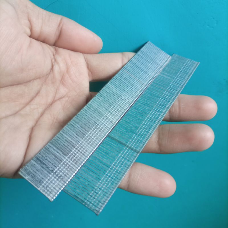 Paku sangkar paku kandang