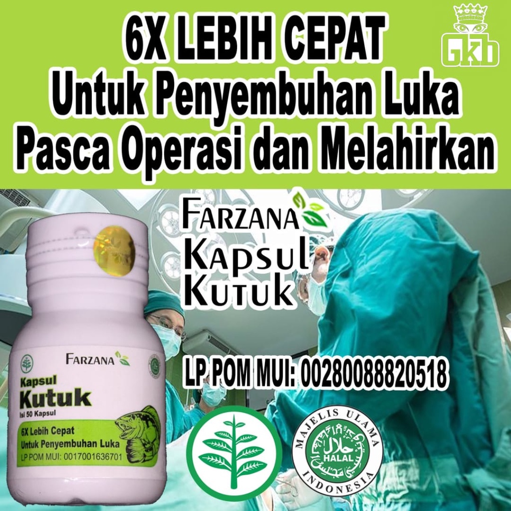 Kapsul Pil Kutuk Premium Pro Albumin Kapsul Gabus Original Ampuh Pasca Operasi 6x Bekas Luka Diabetes Jahitan Cepat Kering