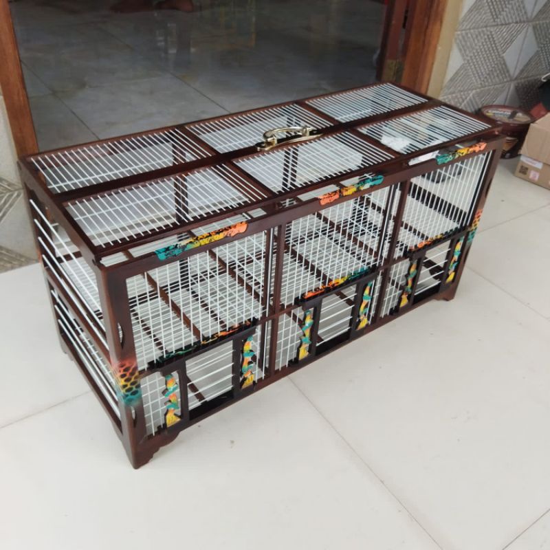 dongdang merpati 6 pintu