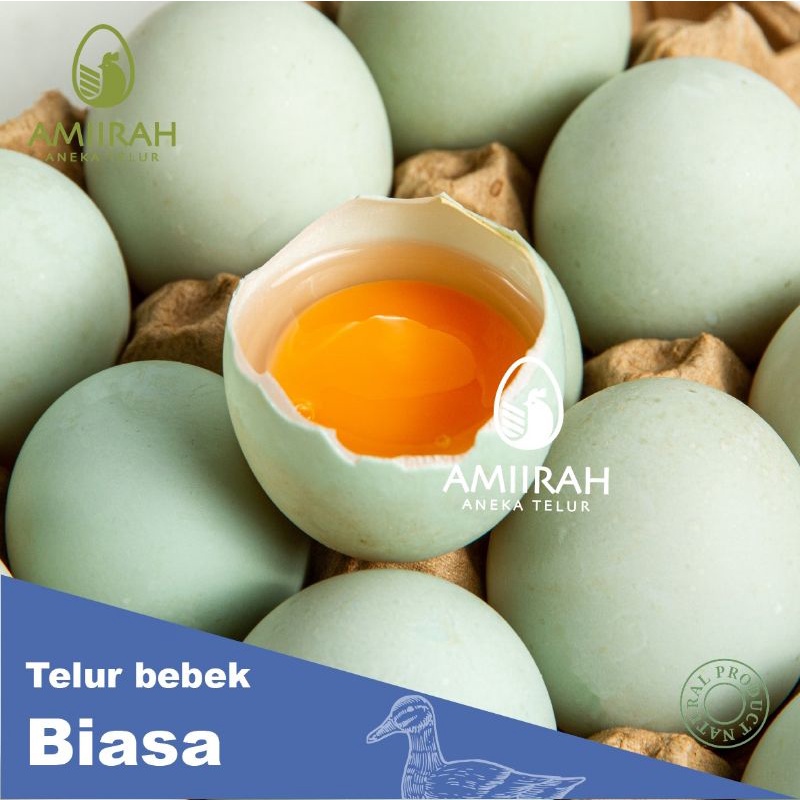 

telur bebek omega 3 per butir