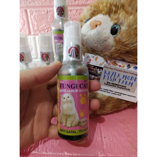 Jual Fungi Cat Obat Jamur pada Kucing Spray 60ml Shopee Indonesia