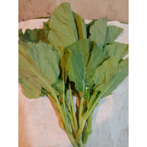 

baby kelan/ 500 gram Rp 10.000