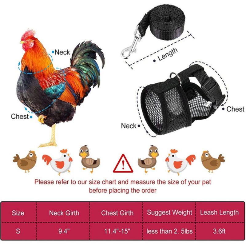 baju ayam multifungsi tali umbaran dan alat senam otot kaki menambah daya pukul ayam modis import zeorfarm