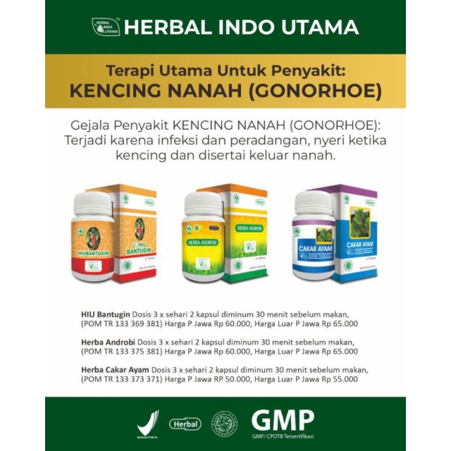 Obat Raja Singa Kencing Nanah Darah