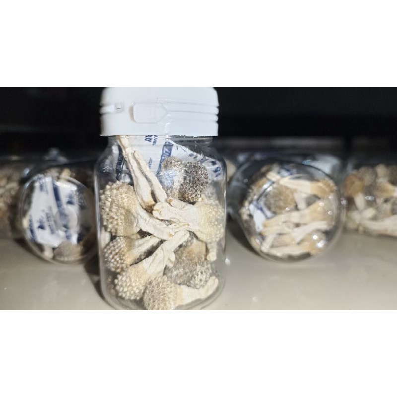 Empot putih UTUH super / Mpot ayam UT