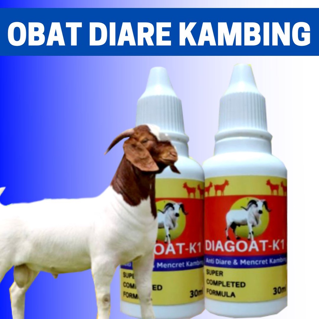 Obat Diare Mencret Kambing Domba Ampuh DIAGOAT K 1 FEFARM