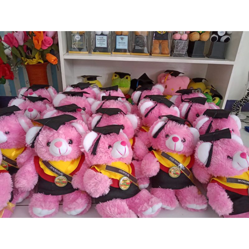 BONEKA WISUDA TEDDY BEAR 30CM + SELEMPANG