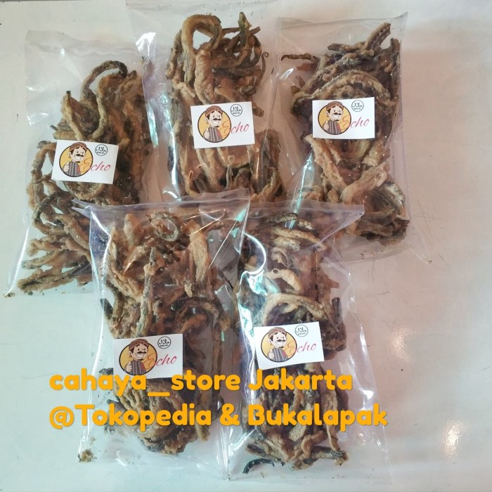 

TERBARU Keripik Belut Crispy 200 gr
